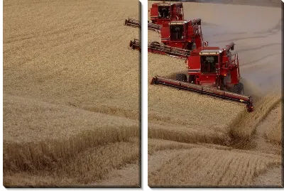 Модульная картина Комбайн №9