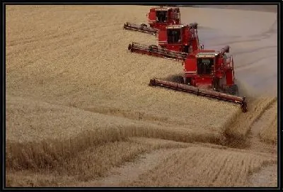 Картина Комбайн №9