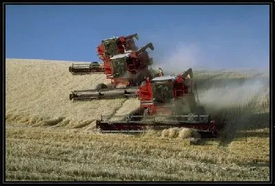 Картина Комбайн №10