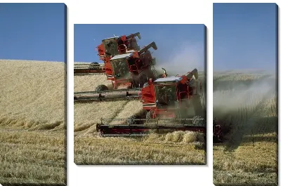 Комбайн №10