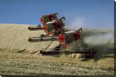 Комбайн №10