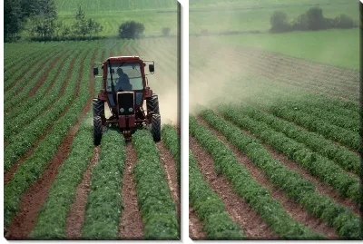 Модульная картина Трактор №12