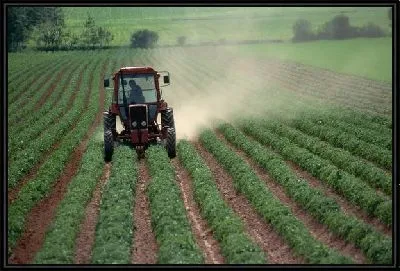 Картина Трактор №12