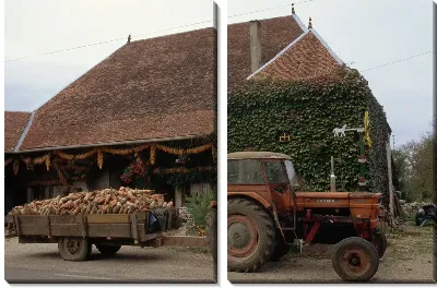 Модульная картина Трактор №13