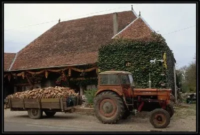 Картина Трактор №13