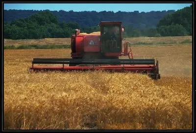 Картина Комбайн №11
