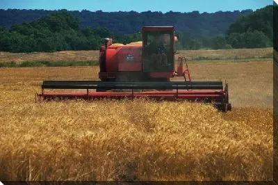 Постер Комбайн №11