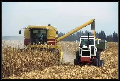 Картина Комбайн №12
