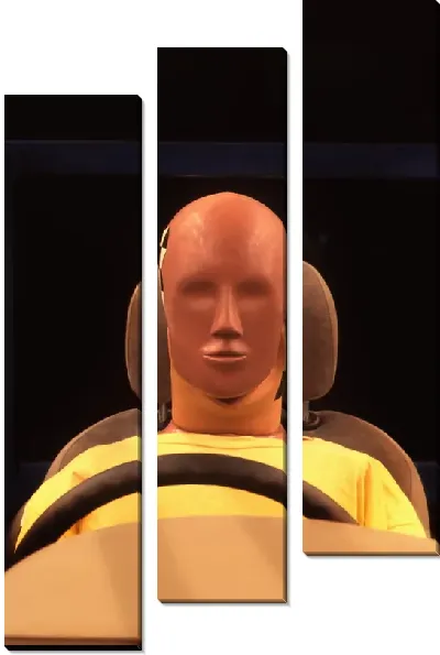 Модульная картина Манекен