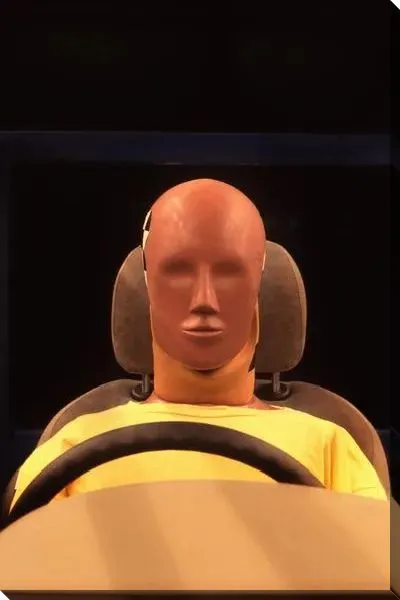 Постер Манекен