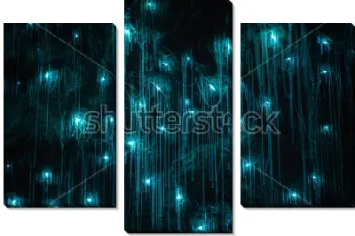 Модульная картина Тонкие нити сталактитов в красивом голубом сиянии неонового цвета в Пещере Светлячков (Вайтомо, Новая Зеландия)