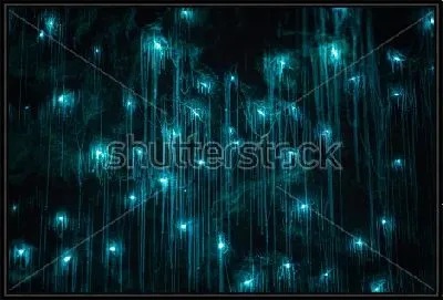 Тонкие нити сталактитов в красивом голубом сиянии неонового цвета в Пещере Светлячков (Вайтомо, Новая Зеландия)