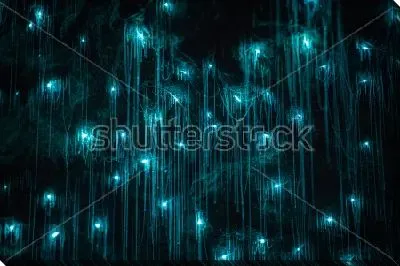 Тонкие нити сталактитов в красивом голубом сиянии неонового цвета в Пещере Светлячков (Вайтомо, Новая Зеландия)