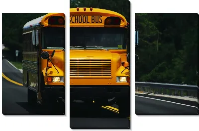 Школьный автобус №6