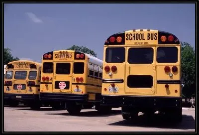 Школьный автобус №7