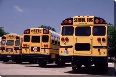 Школьный автобус №7