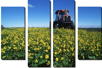 Модульная картина Трактор №14