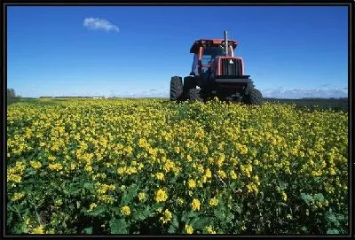 Картина Трактор №14