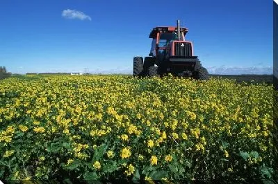 Трактор №14