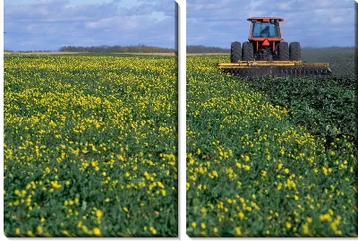 Модульная картина Трактор №15