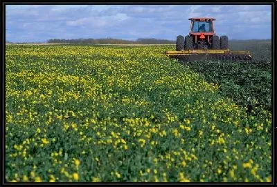 Картина Трактор №15