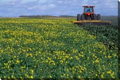 Постер Трактор №15