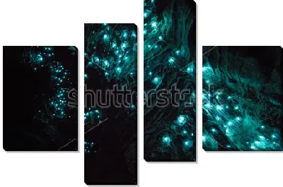 Модульная картина Очень красивый неоновый свет, исходящий от светлячков, в знаменитой пещере Светлячков Вайтомо (Новая Зеландия)