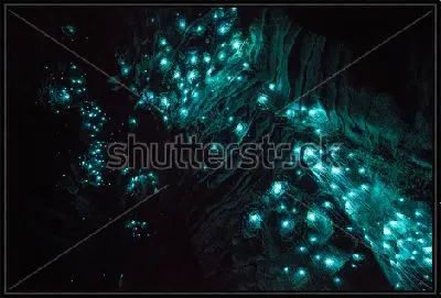 Очень красивый неоновый свет, исходящий от светлячков, в знаменитой пещере Светлячков Вайтомо (Новая Зеландия)