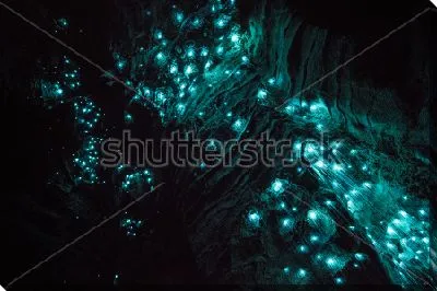 Очень красивый неоновый свет, исходящий от светлячков, в знаменитой пещере Светлячков Вайтомо (Новая Зеландия)