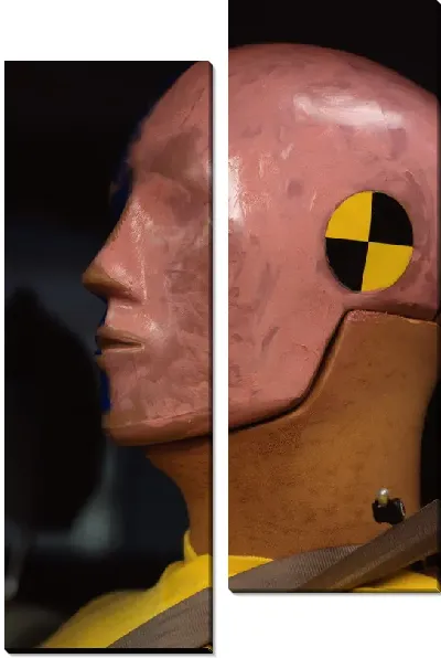 Модульная картина Манекен №3