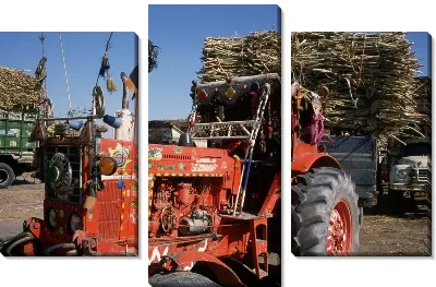 Модульная картина Трактор №17