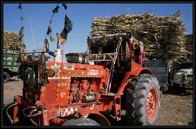 Картина Трактор №17