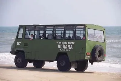 шаблон id 38