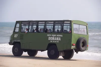 шаблон id 38