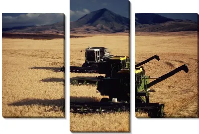 Модульная картина Комбайн №15