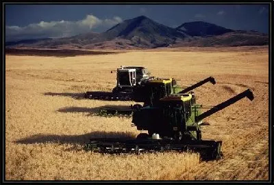 Картина Комбайн №15