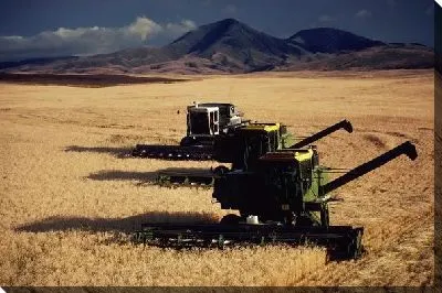 Постер Комбайн №15