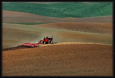 Картина Трактор №18