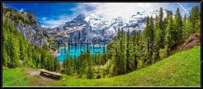 Картина Удивительный пейзаж с хвойными лесами, озером  и заснеженными горами в Швейцарских  Альпах