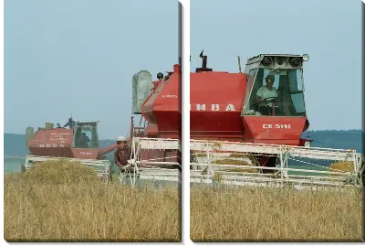 Модульная картина Комбайн №16