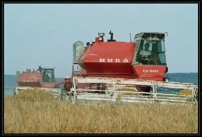 Картина Комбайн №16