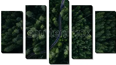 Модульная картина Вид сверху на узкую змейку дороги в густом хвойном лесу