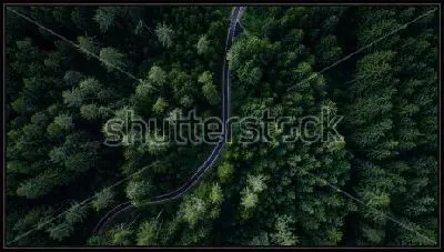 Картина Вид сверху на узкую змейку дороги в густом хвойном лесу
