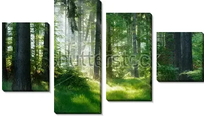 Модульная картина Утро в лесу