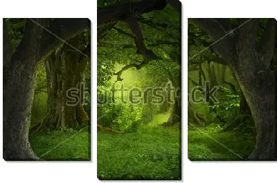 Модульная картина Фантастический пейзаж тропического леса Юго-Восточной Азии в августе