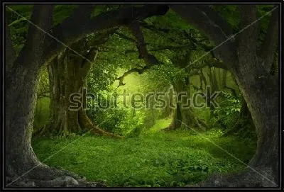 Картина Фантастический пейзаж тропического леса Юго-Восточной Азии в августе