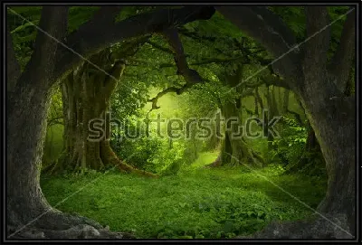 картина