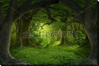 Постер Фантастический пейзаж тропического леса Юго-Восточной Азии в августе