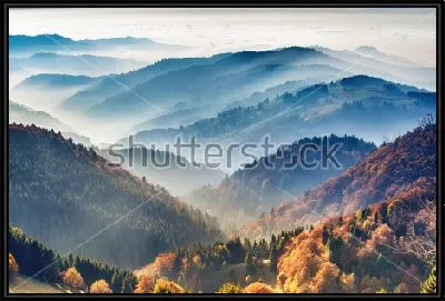 Прекрасный горный пейзаж с видом на осенний лес в утреннем тумане