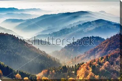 Прекрасный горный пейзаж с видом на осенний лес в утреннем тумане